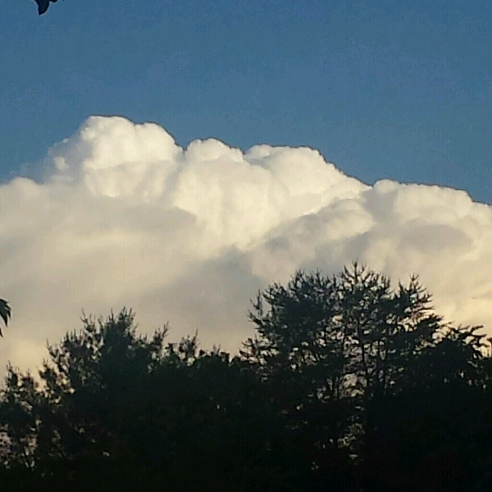 Meet your Posher, Katina